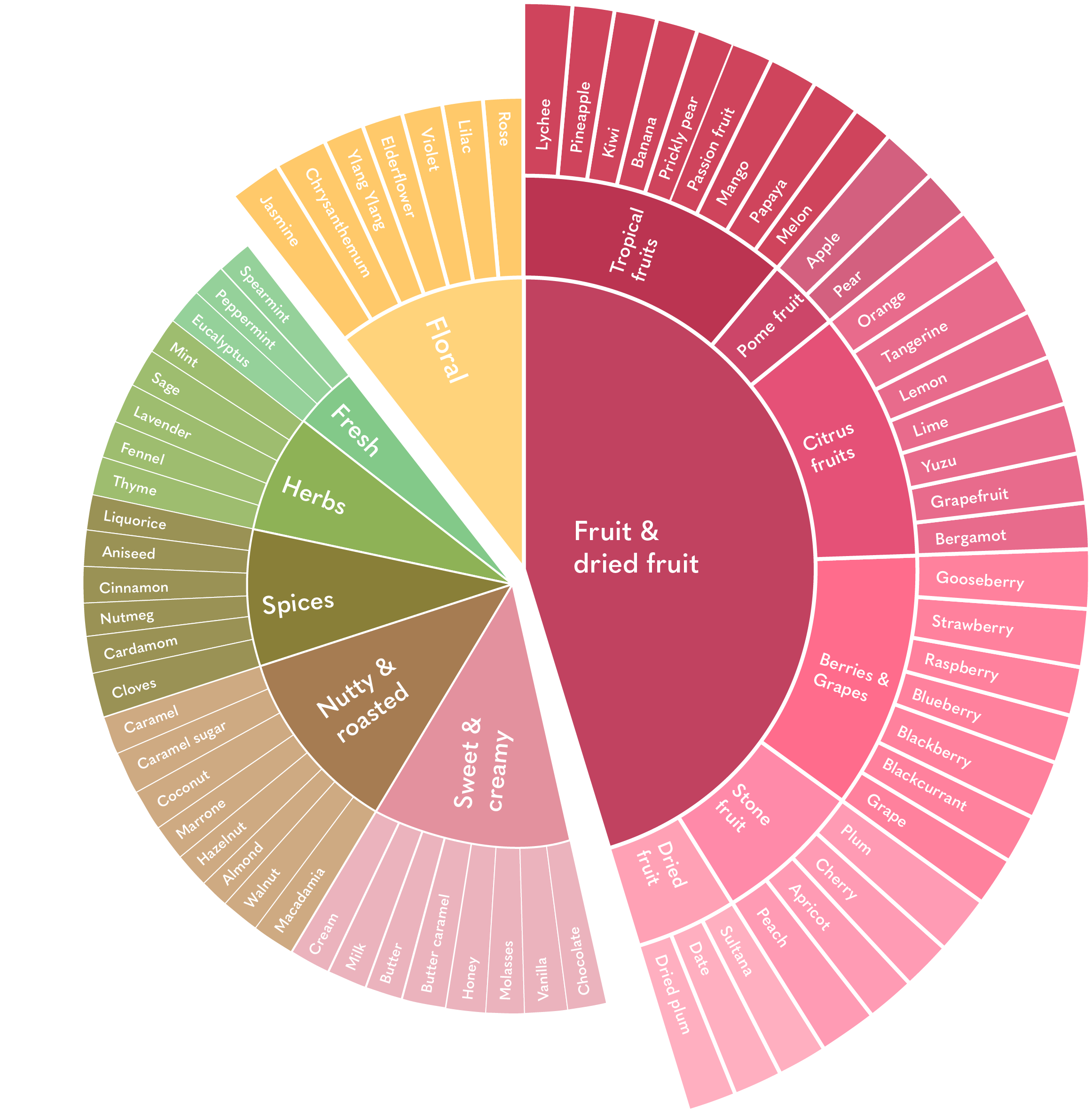 Flavour Mapping Matrix Discover the perception of flavours